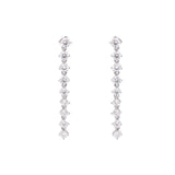 Classic Shine Linear Drop Earrings