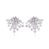 Radiant Elegance Drop Earrings