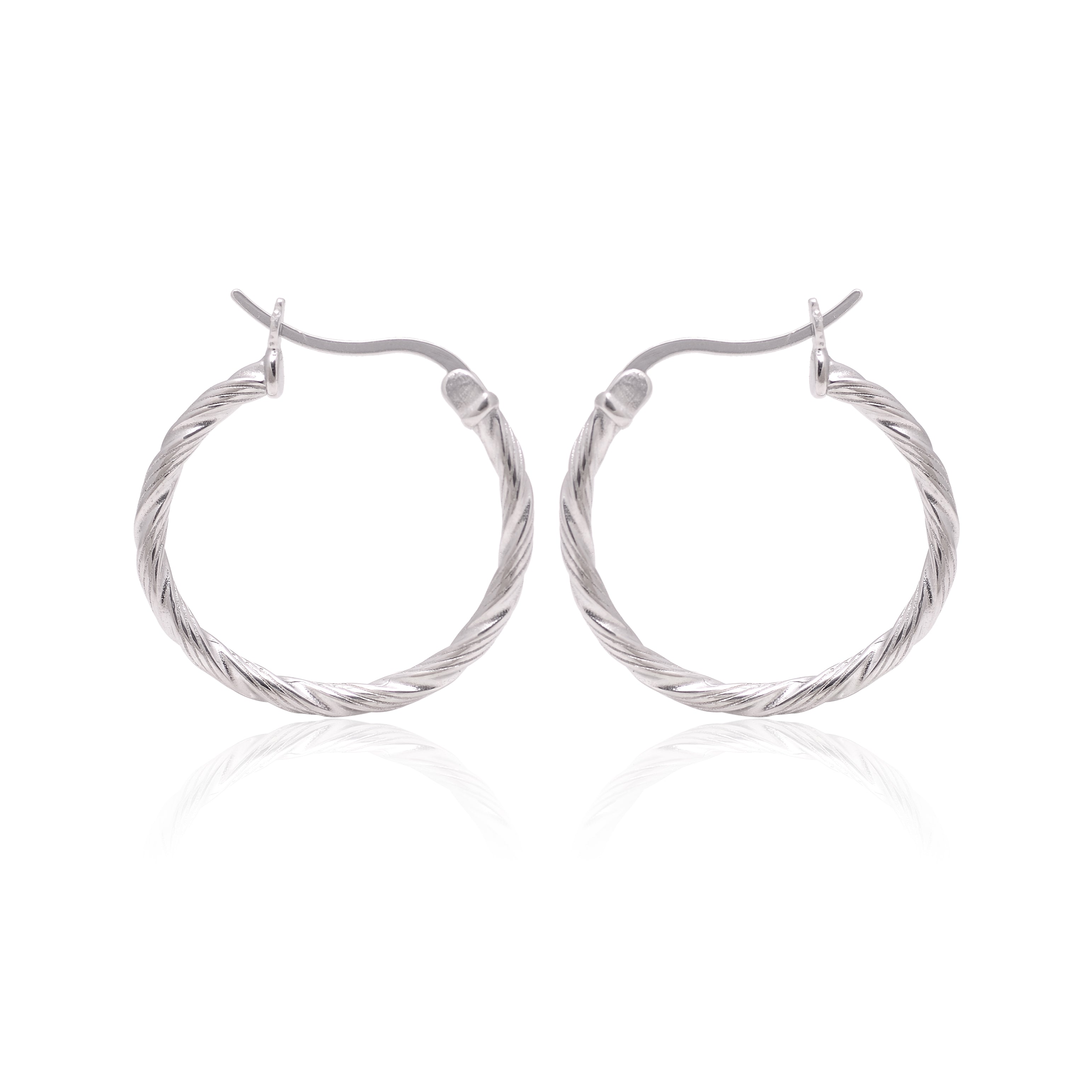 Elegance Hoop Earrings