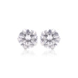 Radiant Silver Whisper Stud Earrings